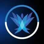 Training Camp Exam Prep iOS Icon