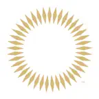 Concacaf Official Icon