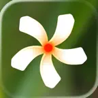 Shiuli: Alt Text Generator iOS Icon