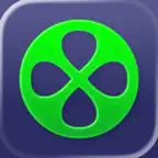 Feijoa icon