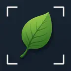 Plant Identifier & Tree Finder icon