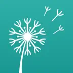 Breathe Break: Breathing Timer iOS Icon