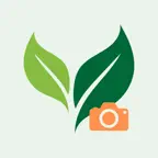 Plant Identifier: Plant+ iOS Icon