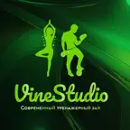 Vine Studio Icon
