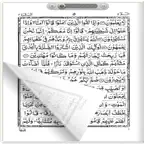Quran Indo Pak Flip iOS Icon