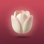 Lovingly: Be a Better Partner iOS Icon