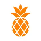 趣菠萝 iOS Icon