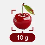 Scale for grams - weight scale iOS Icon