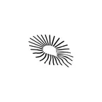 motion by use.live icon