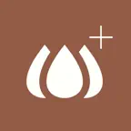 Lacevo + icon