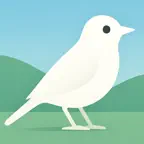 Bird identifier - Birding AI iOS Icon