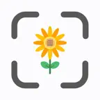 FlowerUP: Flower Identifier iOS Icon