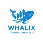 AI Whalix Ticaret Asistanı iOS Icon