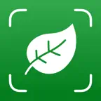 Plant Identifier - WhatLeaf iOS Icon