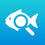 Fish Identifier: AquaID iOS Icon