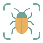 Bug Identifier iOS Icon