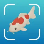 Fish Identifier: Finni iOS Icon