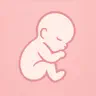 LittleLife 3D 4D Ultrasound 8K