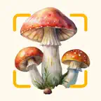 Mushroom ID - Fungi Scanner iOS Icon