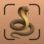 Snake Identifier: SerpentID iOS Icon