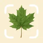 Tree Identifier by TreePic iOS Icon