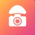 Mushroom Identifier: MushSnap iOS Icon