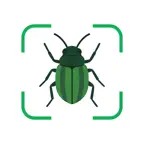 Bug Identifier: Buggo iOS Icon