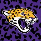 Carrboro Jaguar Athletics iOS Icon