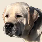 Charlie: Your Personal AI Pet Icon