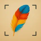 Bird Feather Identification iOS Icon