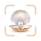 Sea Shell Identifier - Shellie iOS Icon