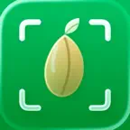 Seed Identifier: AI Photo Scan iOS Icon