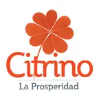 CITRINO LA PROSPERIDAD iOS Icon