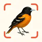 Bird Identifier & Field Guide iOS Icon