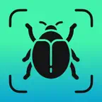 Bug Identifier - Insectium iOS Icon