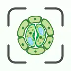 Biology AI: Homework Helper iOS Icon