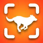Dog Identifier - Scan with AI iOS Icon