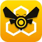 BeeMatch Icon