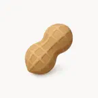 Peanote - AI Voice Notes iOS Icon