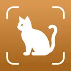 Cat Breed Identifier – Catium iOS Icon