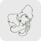 White Elephant iOS Icon