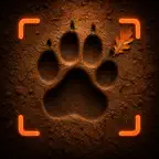 Animal Track Identifier iOS Icon