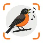 Bird Sound Identifier: Call ID iOS Icon