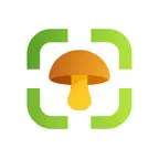 Mushroom Identifier iOS Icon
