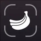 iCal : AI Calories Counter iOS Icon