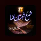 Shama Shabistan e Raza iOS Icon
