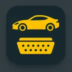 iOBD Pro iOS Icon