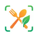 AI Food Recipe Identifier iOS Icon