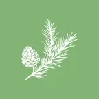 ЖК Звездный iOS Icon