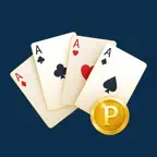 PVBridge Premium iOS Icon